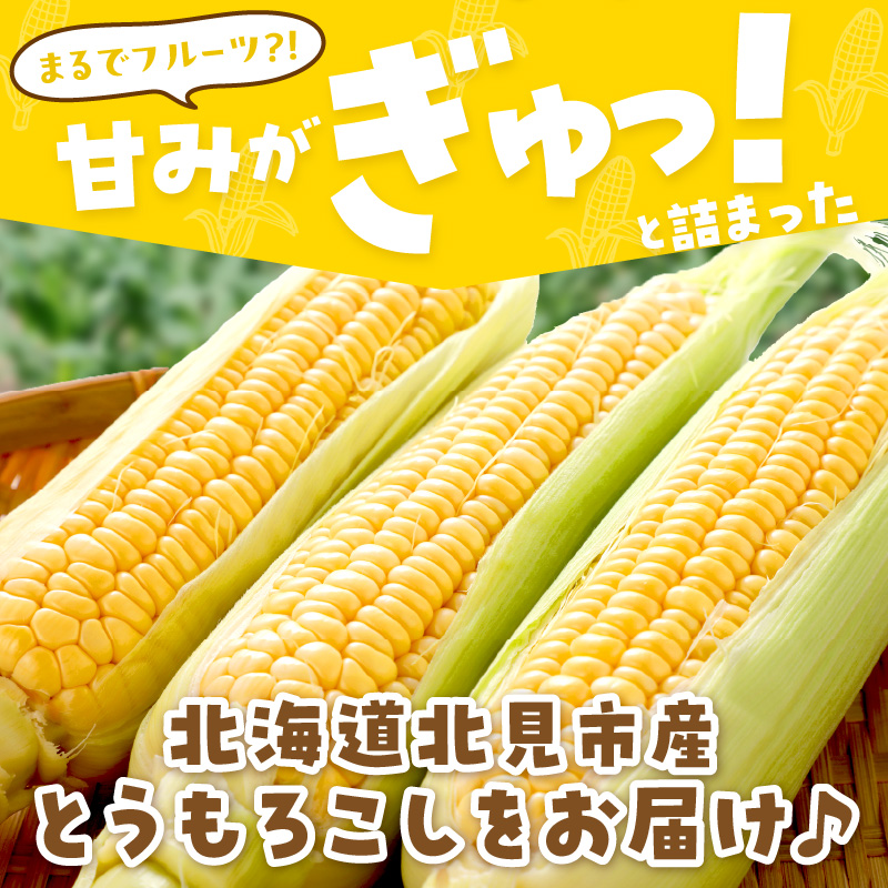 【予約：2024年9月上旬から順次発送】北海道北見市産 朝採れ ゴールドラッシュ 10本 ( 野菜 トウモロコシ とうもろこし コーン ゴールドラッシュ 採れたて 新鮮 )【164-0005】