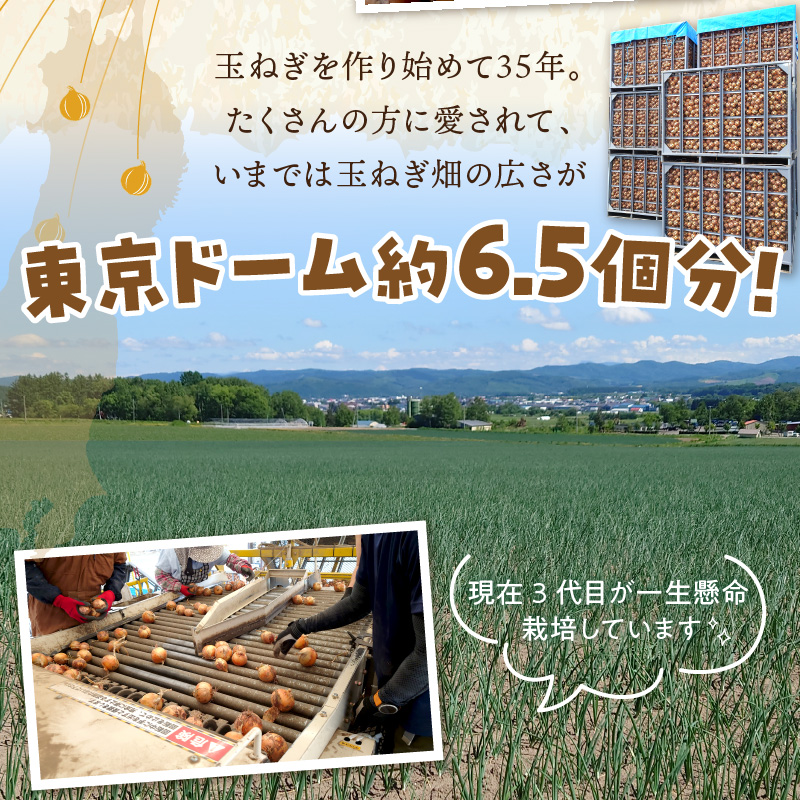 【予約：2024年9月から順次発送】日本一の生産地！北海道北見市の玉ねぎ 5kg！オニオンスープ2本付き♪ ( 玉ねぎ 玉葱 たまねぎ タマネギ オニオン スープ 即席 料理 )【164-0006-2024】