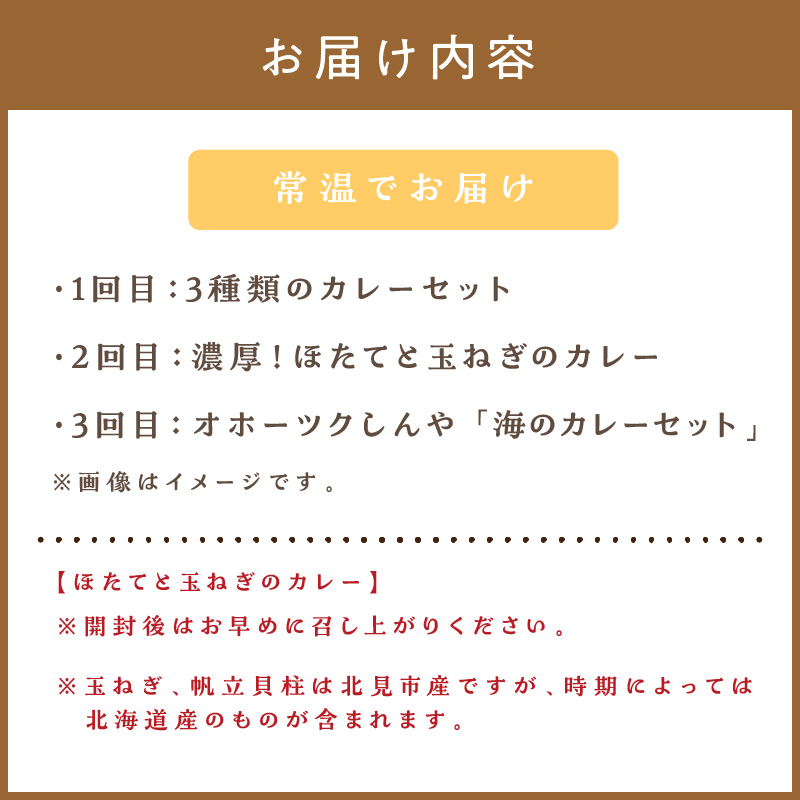 【3ヶ月定期便】 ＼カレー三昧／楽ちんおうちごはん ( カレー レトルトカレー 定期便 )【999-0112】