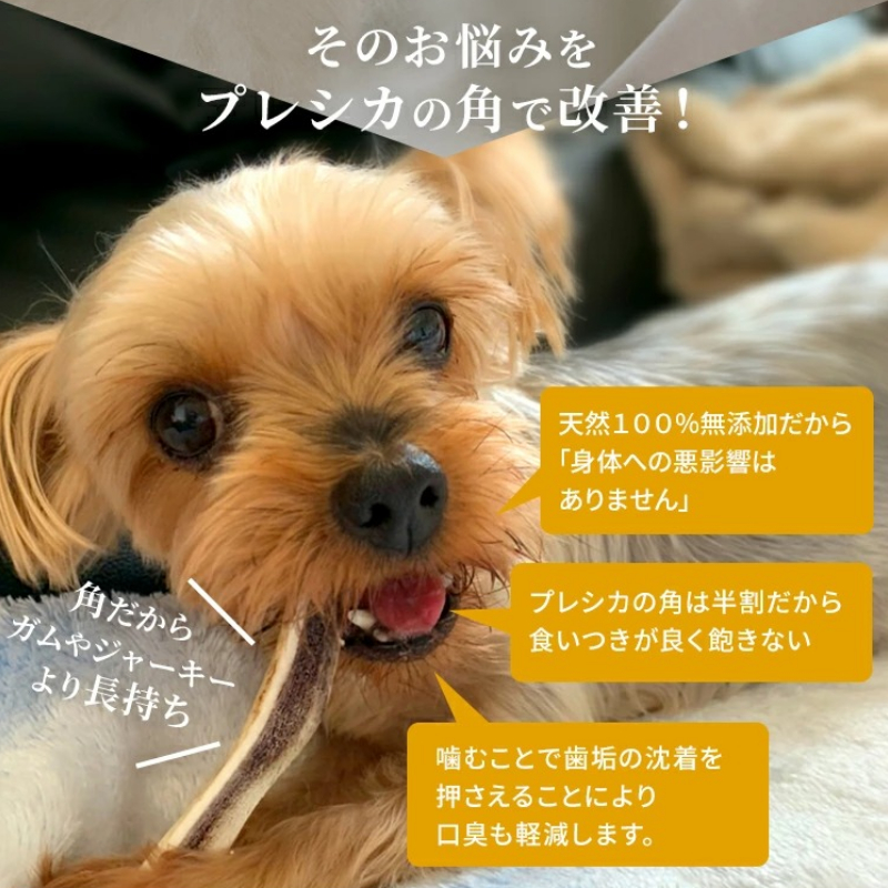 鹿の角 犬のおもちゃ ペット用 Sサイズ ( ペット おもちゃ 鹿 角 )【079-0002】