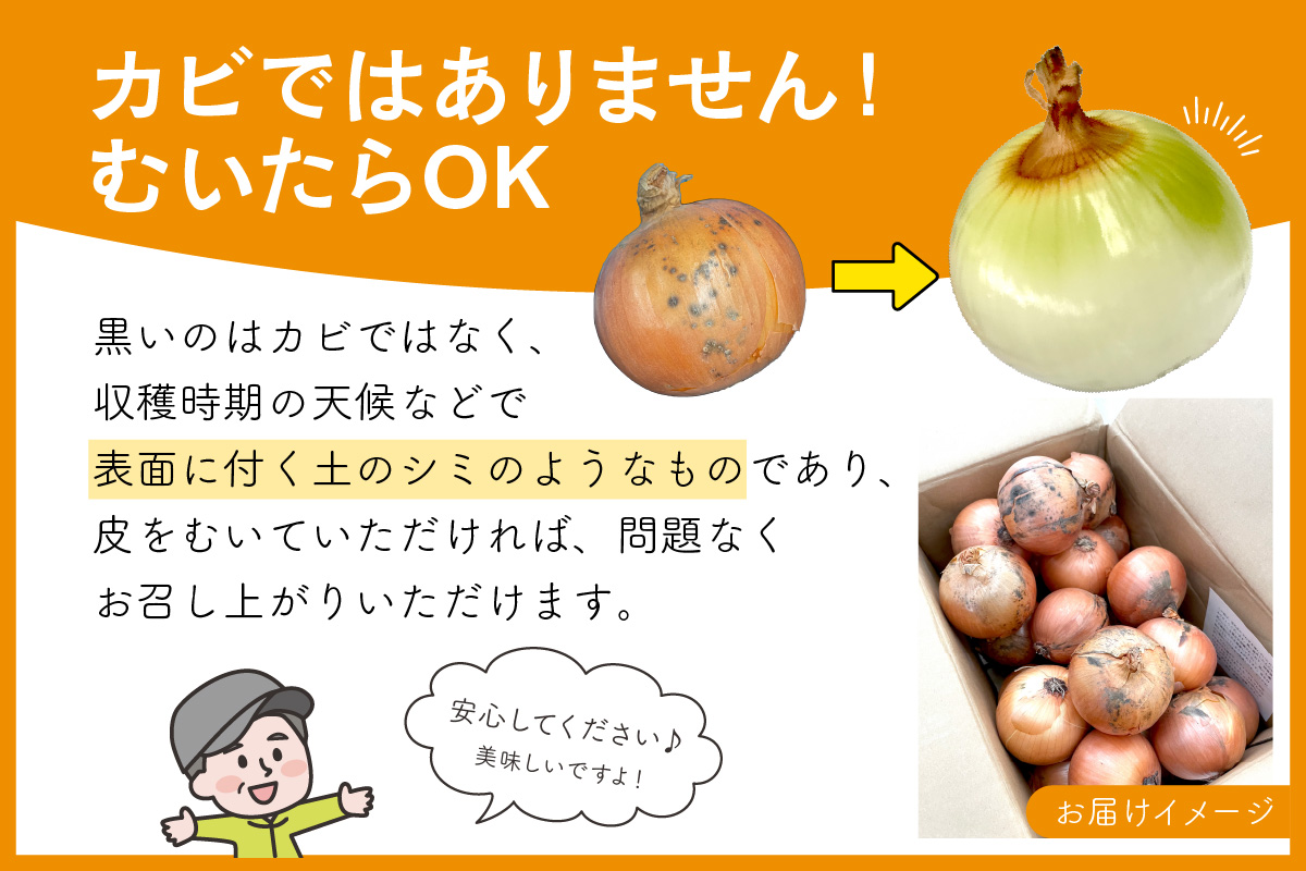 【予約：2024年10月中旬から順次発送】日本一の玉ねぎ生産地！信田農園の玉ねぎ 10kg Lサイズ ( 信田農園 野菜 玉ねぎ 玉葱 たまねぎ タマネギ 10キロ 北見のたまねぎ オニオン 野菜 甘い ふるさと納税 )【124-0006-2024】