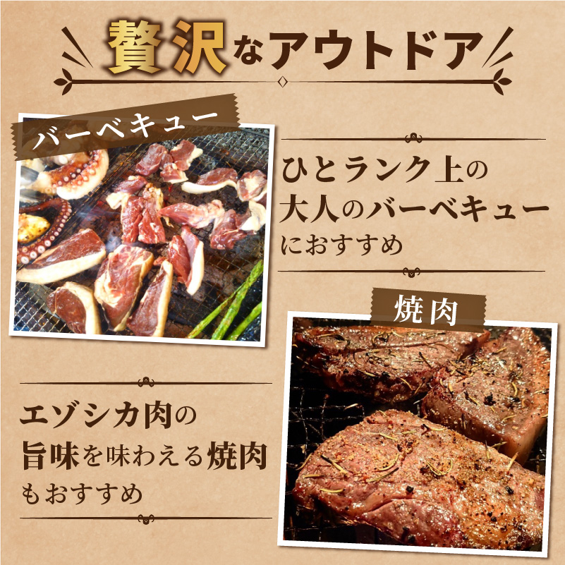 北見エゾシカ 熟成肉山の恵みセット ( 肉類 肉 国産 鹿肉 熟成 セット 詰め合わせ 骨付き ロース しんたま 内もも ステーキカット肉 ハバキカット ハツ ヒレ ステーキ用スライス )【025-0030】