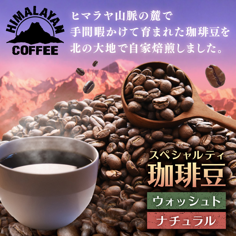 【訳あり】スペシャルティコーヒー 豆 200g ～極北の秘宝！ヒマラヤ（ネパール）の恵みを受けた自家焙煎～【166-0001】