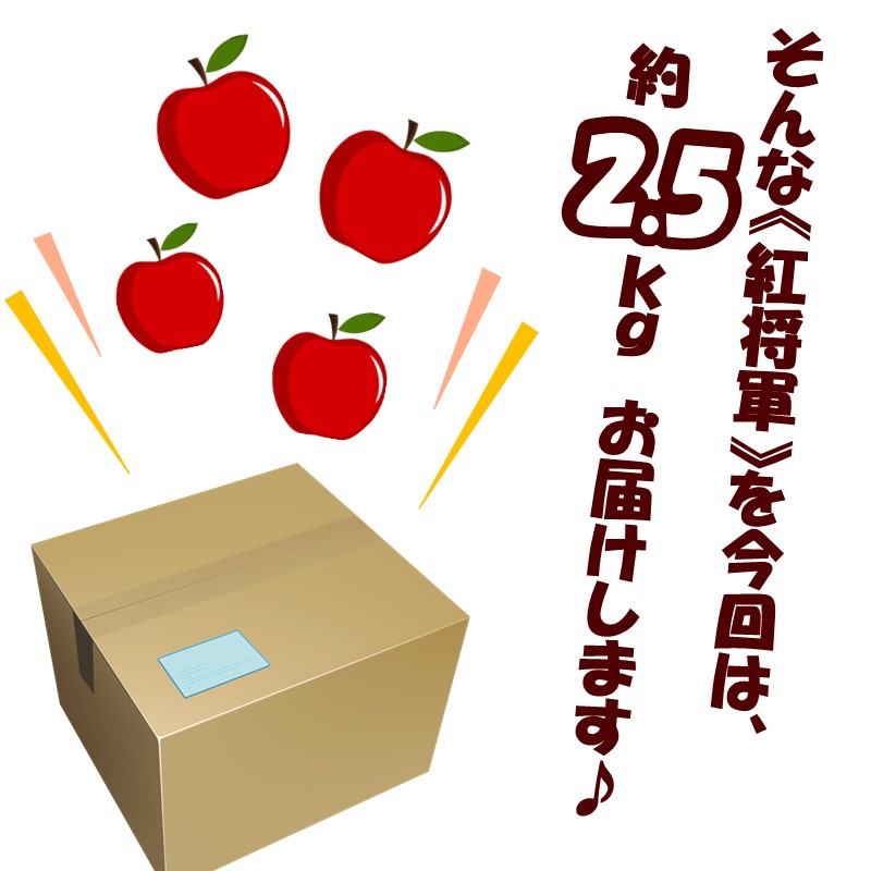 【予約：2024年10月下旬から順次発送】北海道北見市産りんご 紅将軍 約2.5kg ( りんご リンゴ 林檎 果物 フルーツ 期間限定 )【044-0004-2024】