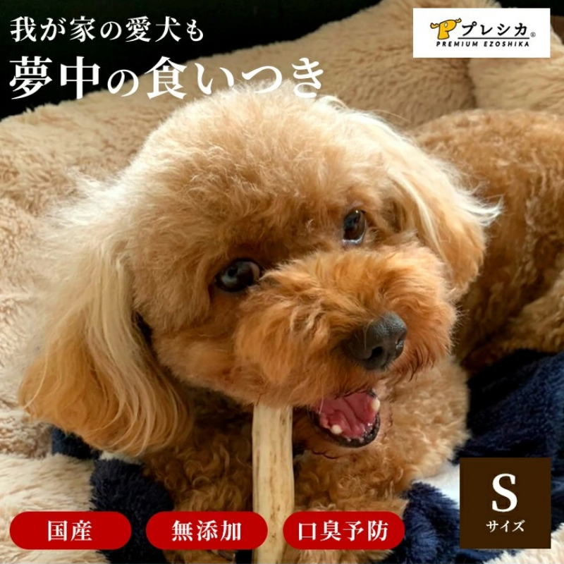 鹿の角 犬のおもちゃ ペット用 Sサイズ ( ペット おもちゃ 鹿 角 )【079-0002】
