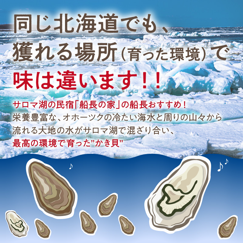 【予約：2024年10月下旬から順次発送】サロマ湖自慢の殻付きカキ貝 2年物 4.5kg詰め ( 牡蠣 かき 濃厚 魚介類 貝類 カキ ふるさと納税 牡蠣 北見市 BBQ )【114-0013-2024】