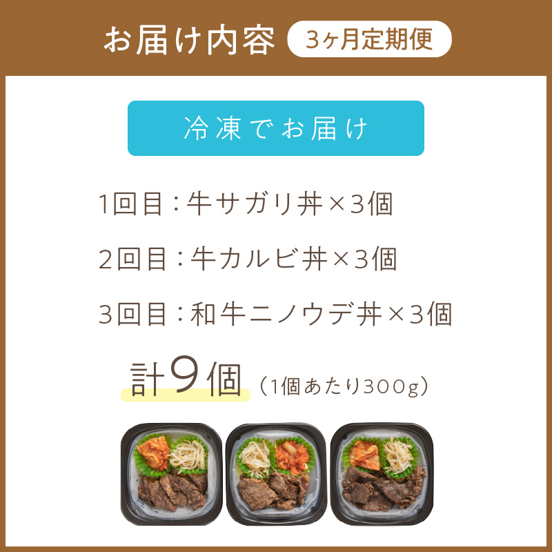 【3ヶ月定期便】レンジで丼！牛肉丼定期便 ( 牛肉 弁当 総菜 冷凍 簡単調理 サガリ カルビ ニノウデ )【999-0164】