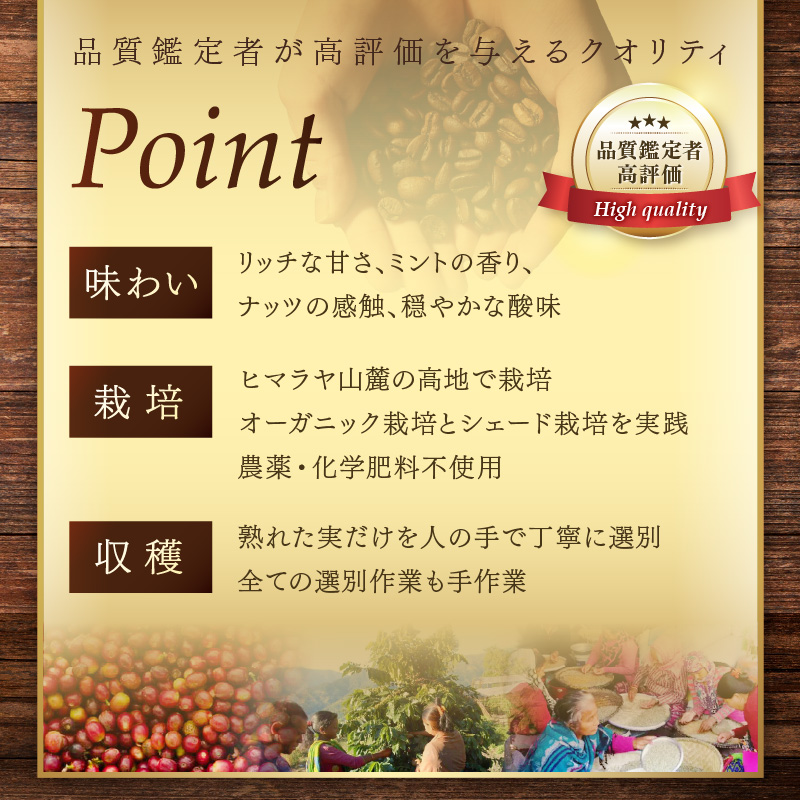 【訳あり】スペシャルティコーヒー 豆 200g 〜極北の秘宝！ヒマラヤ（ネパール）の恵みを受けた自家焙煎〜【166-0001】