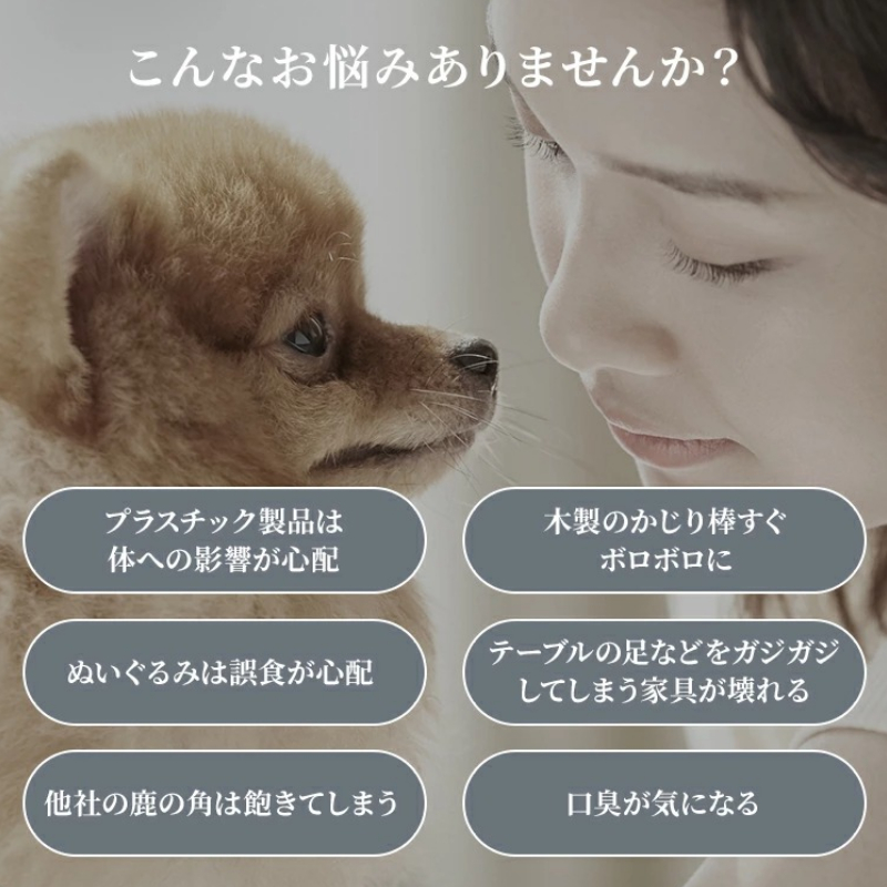 鹿の角 犬のおもちゃ ペット用 Sサイズ ( ペット おもちゃ 鹿 角 )【079-0002】