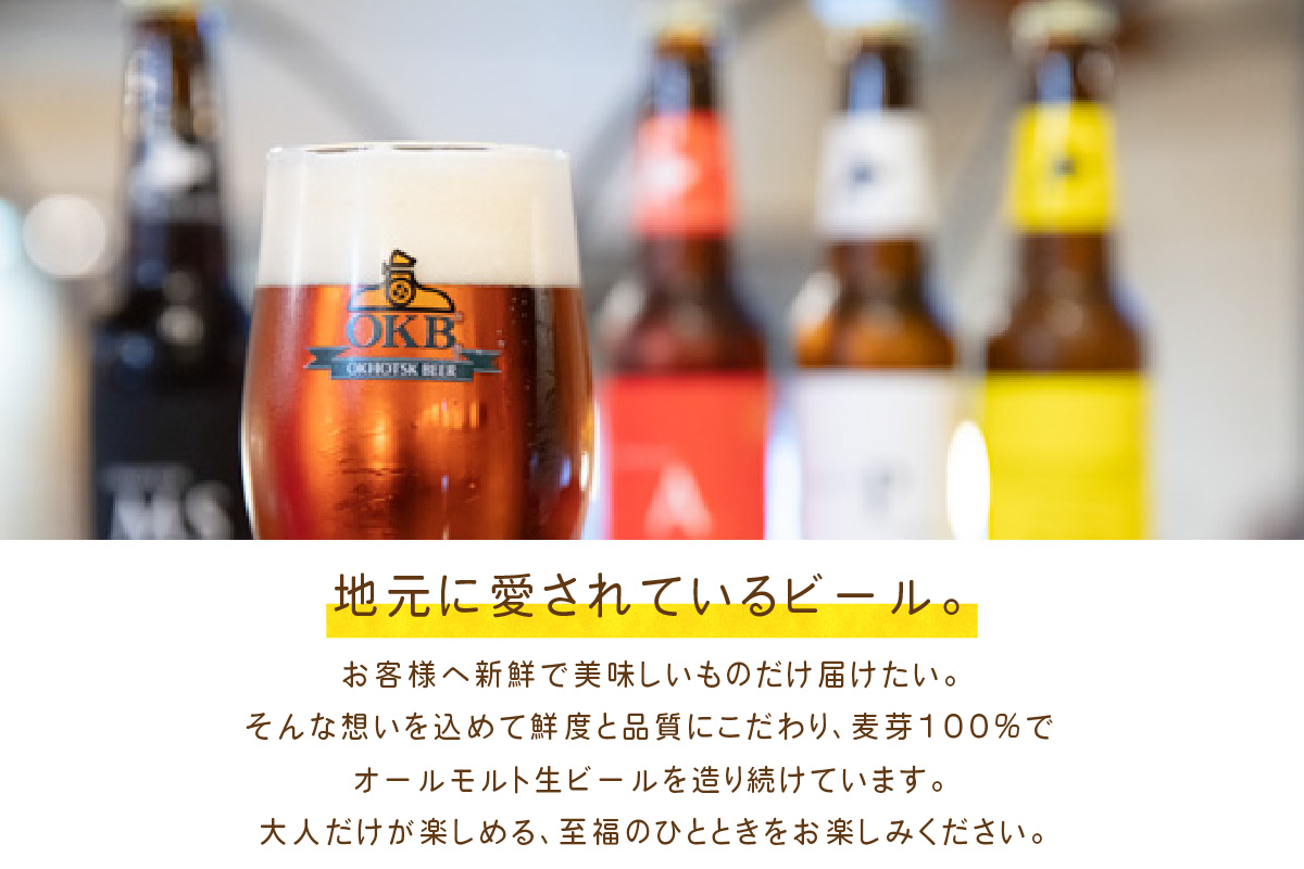 【6ヶ月定期便】 オホーツクビール 6本 ( 定期便 ビール 地ビール セット 詰め合わせ 小麦 麦芽100% アルコール )【999-0085】