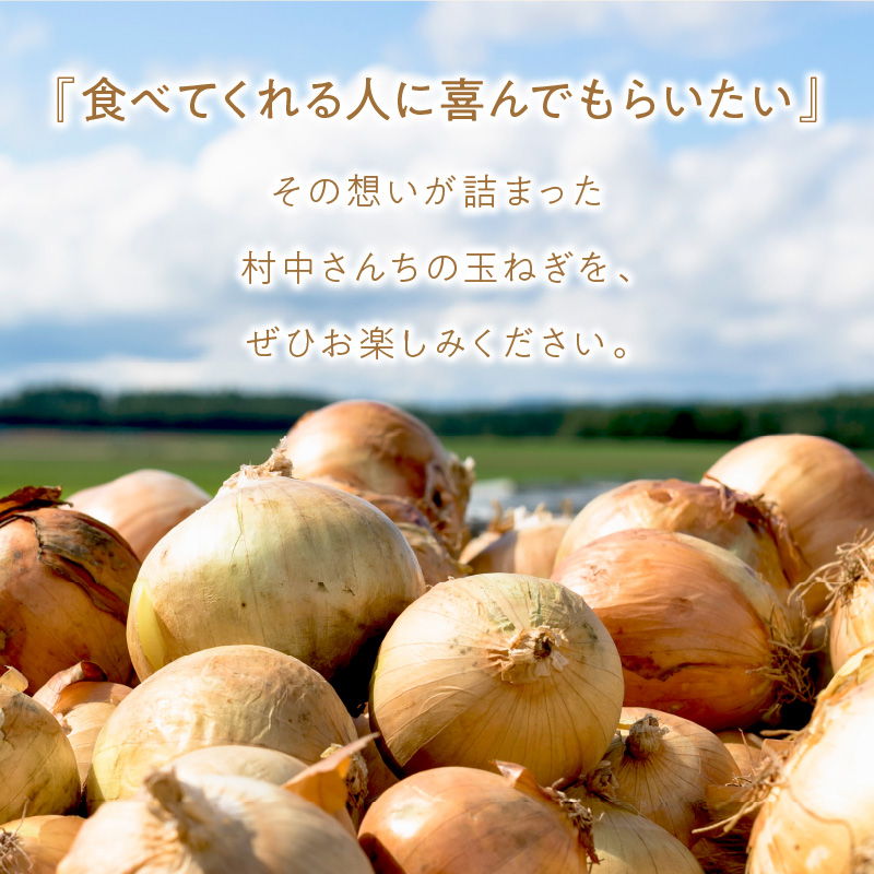 【予約：2024年9月中旬から順次発送】農家直送 村中さんちの玉ねぎ 10kg混玉 M～2Lサイズ ( タマネギ たまねぎ 玉葱 野菜 北海道産 詰合せ 10kg ふるさと納税 )【095-0021】