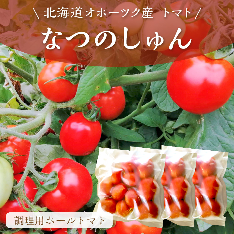 北海道オホーツク産 トマト『なつのしゅん』3kg 調理用ホールトマト ( 野菜 トマト 調理用 )【100-0004】