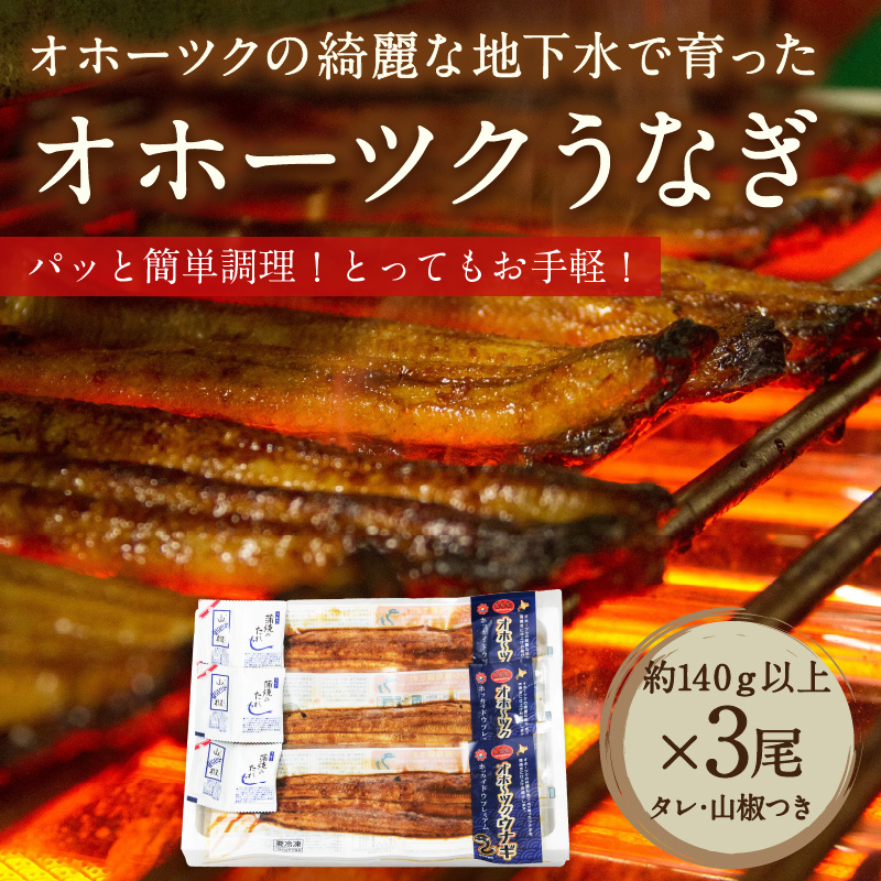 《14営業日以内に発送》オホーツクの綺麗な地下水で育った オホーツク うなぎ 3尾 ( 蒲焼 蒲焼き 丑の日 土用丑の日 )【160-0004】