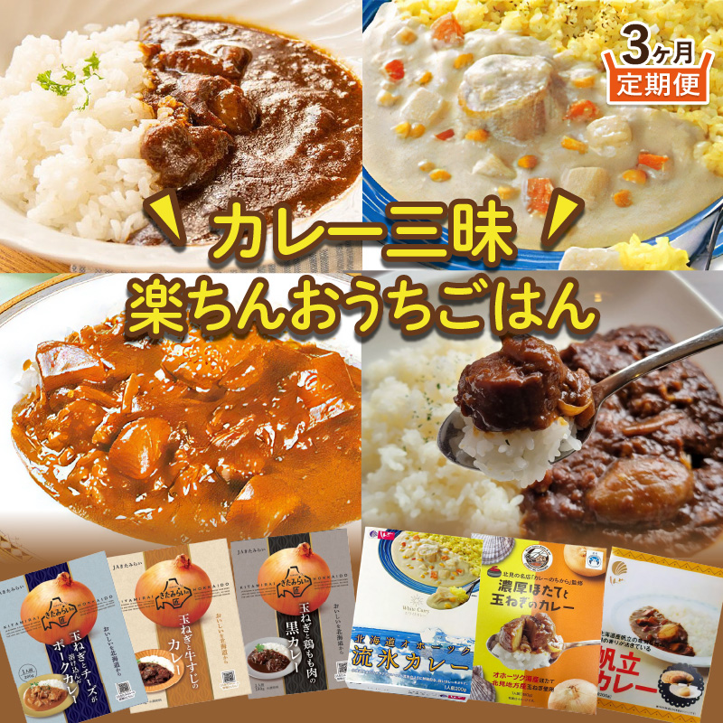 【3ヶ月定期便】 ＼カレー三昧／楽ちんおうちごはん ( カレー レトルトカレー 定期便 )【999-0112】