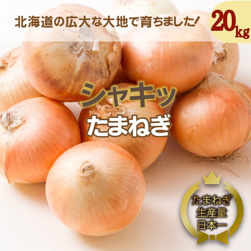 【予約：2024年10月上旬から順次発送】北海道 JAきたみらい「たまねぎ」20kg ( 期間限定 野菜 玉ねぎ 玉葱 )【005-0024-2024】