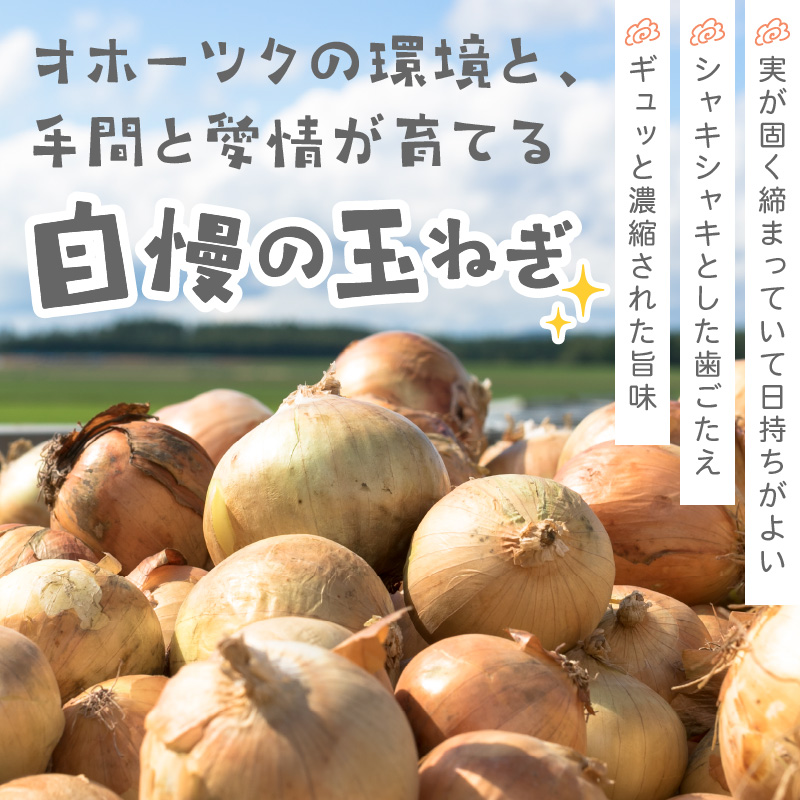 【予約：2024年9月下旬から順次発送】北海道北見産 玉ねぎ 10kg ( 野菜 たまねぎ タマネギ 玉葱 玉ねぎ 甘い Lサイズ 10キロ 玉ねぎ生産量日本一 )【002-0009-2024】