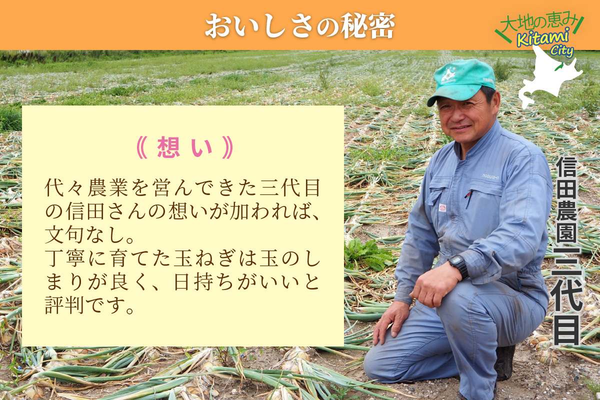 【予約：2024年10月中旬から順次発送】日本一の玉ねぎ生産地！信田農園の玉ねぎ 10kg Lサイズ ( 信田農園 野菜 玉ねぎ 玉葱 たまねぎ タマネギ 10キロ 北見のたまねぎ オニオン 野菜 甘い ふるさと納税 )【124-0006-2024】