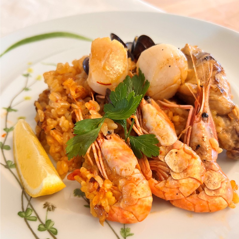 åèŠåž ã¹ãã€ã³æçæå®€ åæµ·éç£é£æã§äœã ããšãªã¢ ããšãžã£ 2åæ§å ( ãã¬ã³ãæç ããšãªã¢ äœéš )ã189-0008ã