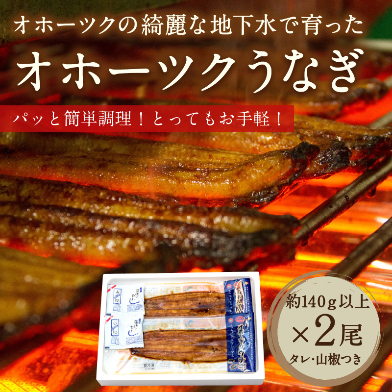 《14営業日以内に発送》オホーツクの綺麗な地下水で育った オホーツク うなぎ 2尾 ( 蒲焼 蒲焼き 丑の日 土用丑の日 )【160-0003】