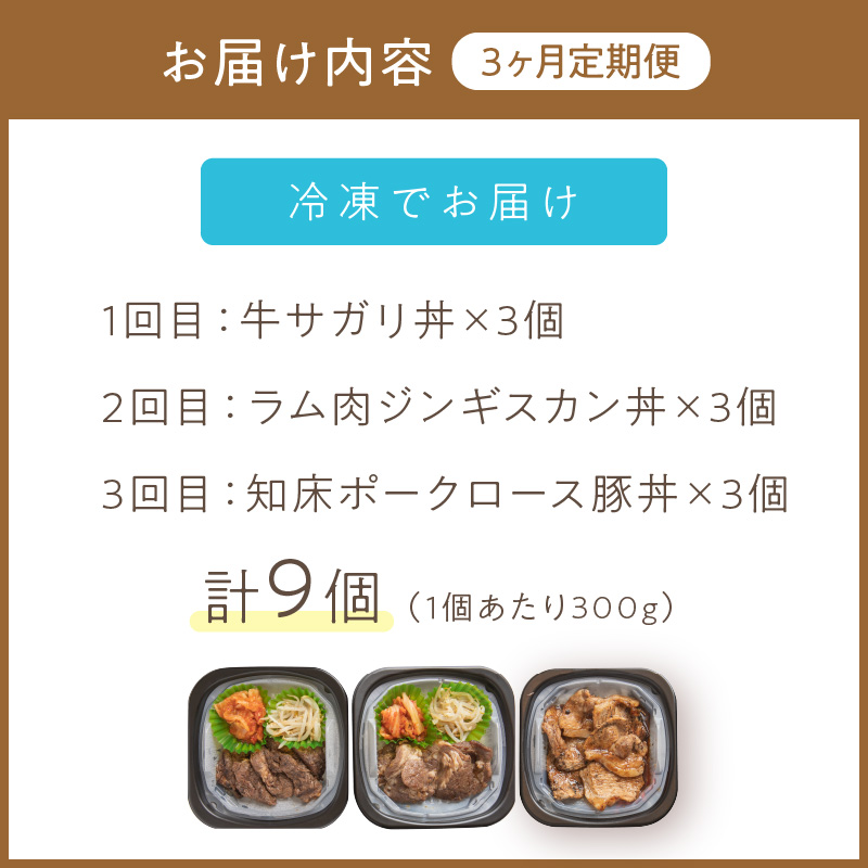 【3ヶ月定期便】レンジで丼！とん久セット ( 牛肉 ラム 豚肉 弁当 総菜 冷凍 簡単調理 )【999-0165】