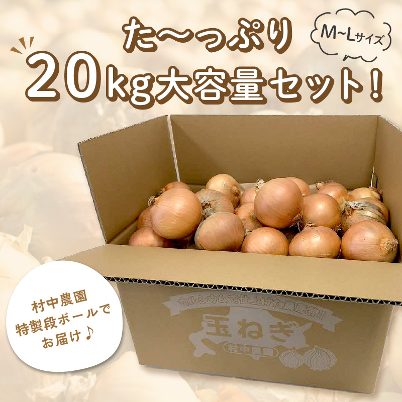 A-314】北海道北見市端野産 たまねぎ 10kg×2箱【2022年9月中旬から発送】|JALふるさと納税|JALのマイルがたまるふるさと納税サイト