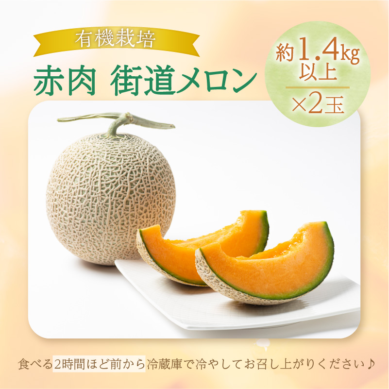 【予約：2024年7月から順次発送】有機栽培『赤肉 街道メロン』1.4kg以上×2玉 ( 果物 くだもの フルーツ メロン めろん 2玉 街道メロン 果肉 デザート 赤肉 )【034-0002-2024】