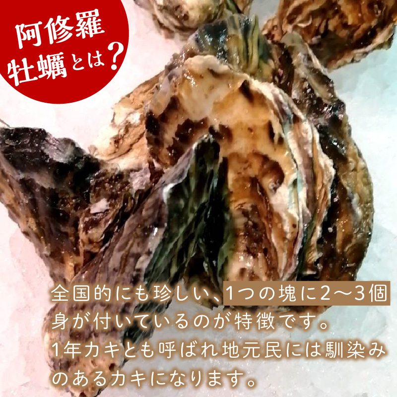 【A8-022】サロマ湖産海のミルク阿修羅牡蠣 10kg【2022年10月から順次配送】