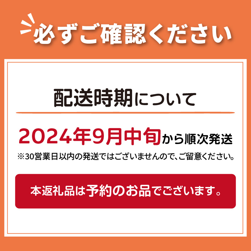 【予約：2024年9月中旬から順次発送】農家直送 村中さんちの玉ねぎ 10kg混玉 M～2Lサイズ ( タマネギ たまねぎ 玉葱 野菜 北海道産 詰合せ 10kg ふるさと納税 )【095-0021】