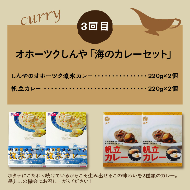 【3ヶ月定期便】 ＼カレー三昧／楽ちんおうちごはん ( カレー レトルトカレー 定期便 )【999-0112】