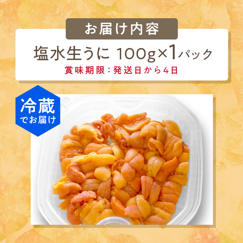 【予約：2025年4月中旬から順次発送】サロマ湖産 塩水生うに ( 海鮮 雲丹 うに ウニ 塩水 生ウニ 生うに ウニ丼 エゾバフンウニ ムキ身 高級 1パック 期間限定 )【114-0006-2025】