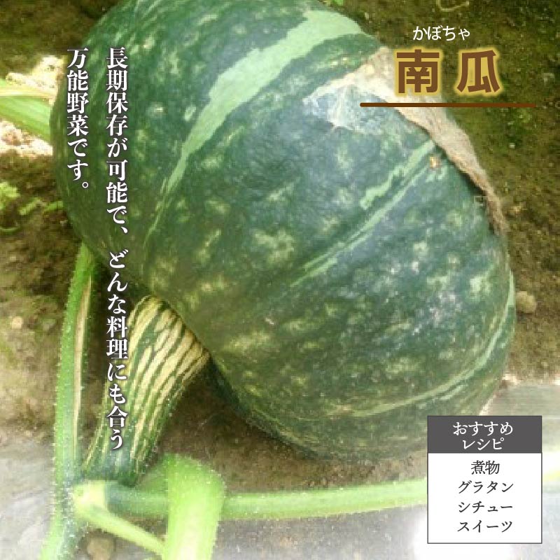 【予約：2023年10月上旬より順次発送】北海道 JAきたみらい「じゃがいも・たまねぎ・かぼちゃセット」10kg ( 期間限定 野菜 セット 詰め合わせ )【005-0023】