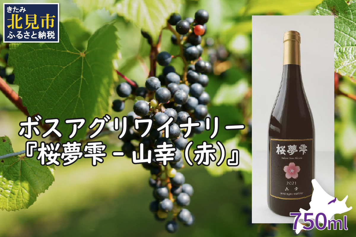 【A3-026】【オホーツクブランド認証ワイン】北見産ぶどう100％のワイン 桜夢雫 山幸 (赤）