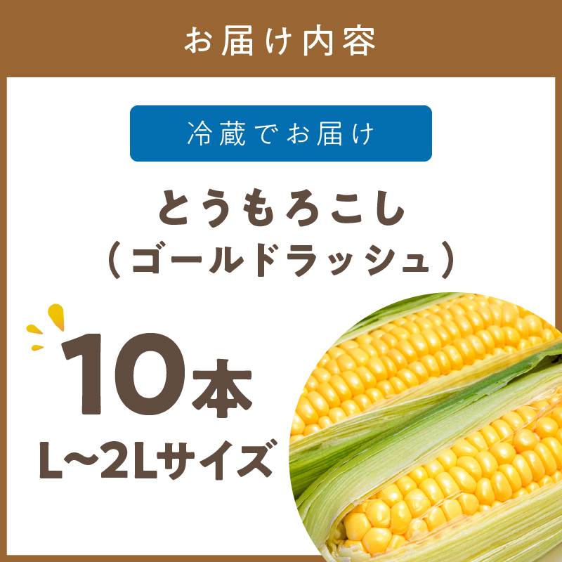 【予約：2024年9月上旬から順次発送】北海道北見市産 朝採れ ゴールドラッシュ 10本 ( 野菜 トウモロコシ とうもろこし コーン ゴールドラッシュ 採れたて 新鮮 )【164-0005】