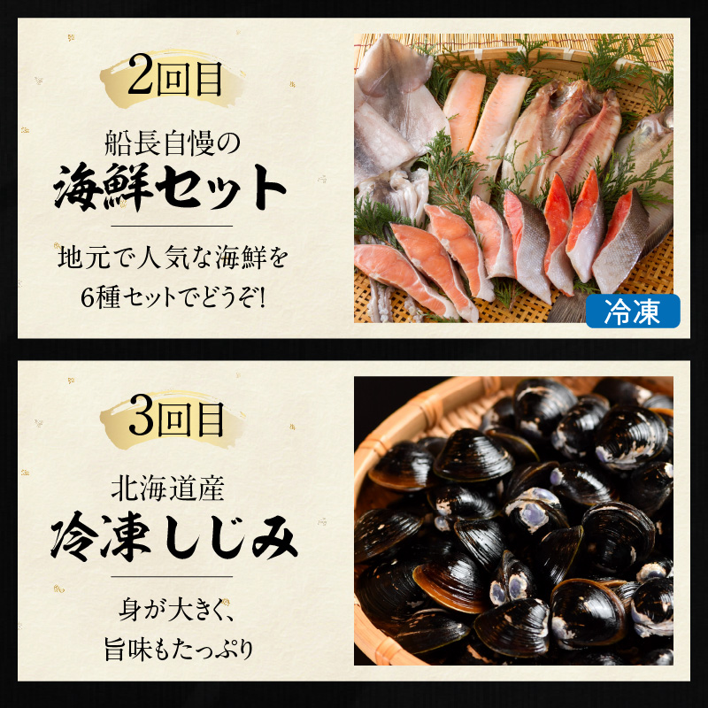 【3ヶ月定期便】船長おすすめ！海の幸セット ( ほたて ホタテ 海鮮丼 ほっけ 鮭 いか サーモン しじみ 定期便 魚介 )【999-0155】