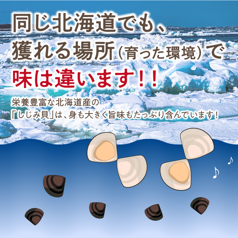 《14営業日以内に発送》北海道産 冷凍しじみ 500g×3袋 ( 魚介類 貝類 しじみ シジミ 1.5キロ 冷凍 カルシウム ビタミンB12 タウリン 鉄分 味噌汁 )【114-0008】