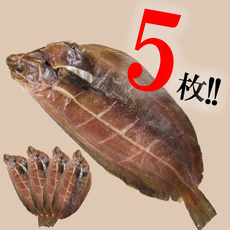 旨味凝縮！ナメタガレイの一夜干し 5枚セット 食べやすいカット入り ( 一夜干し 干物 セット 簡単 夕食 北海道 時短 カレイ おつまみ おかず )【094-0004】