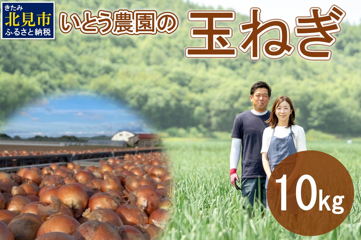 【予約：2024年10月中旬から順次発送】いとう農園の玉ねぎ 10kg ( 玉葱 タマネギ 野菜 期間限定 数量限定 10キロ )【181-0002】