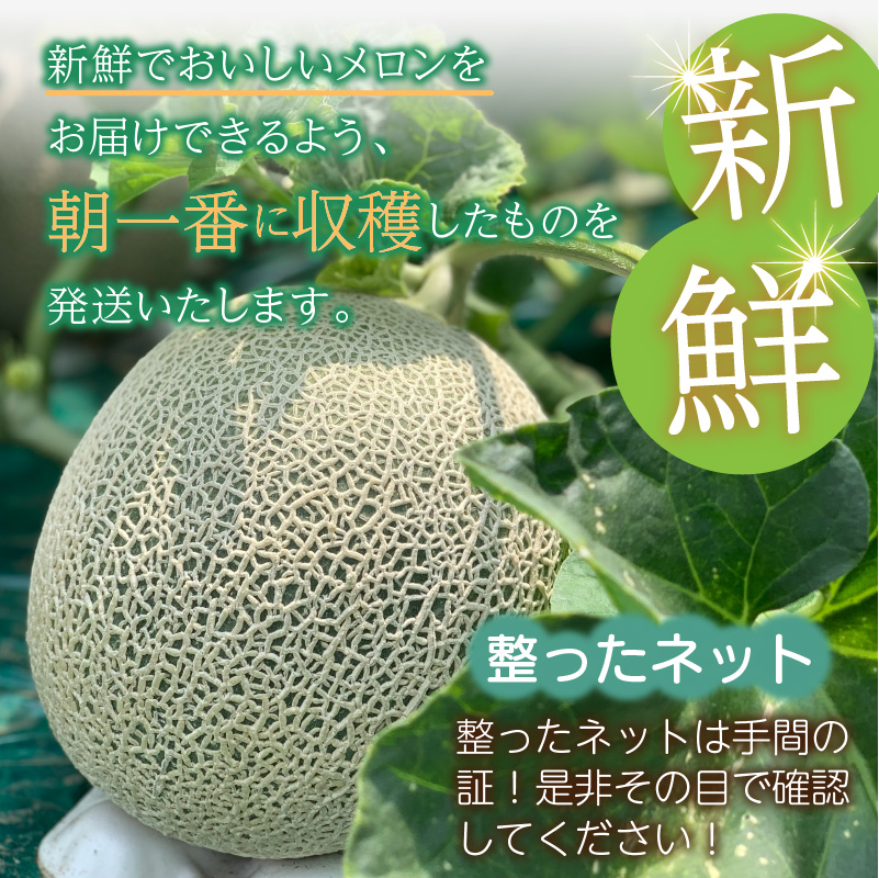 【予約：2025年7月から順次発送】有機栽培『赤肉 街道メロン』1.4kg以上×2玉 ( 果物 くだもの フルーツ メロン めろん 2玉 街道メロン 果肉 デザート 赤肉 )【034-0002-2025】