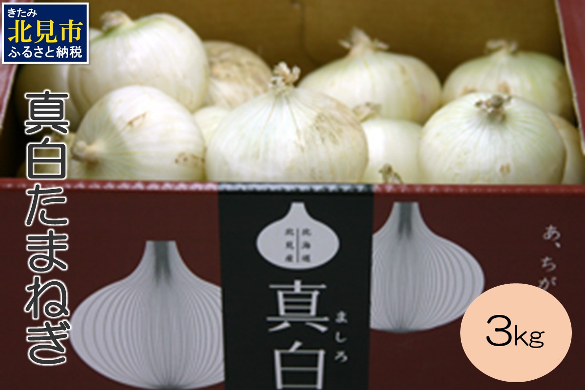【予約：2024年8月上旬から順次発送】北海道 JAきたみらい「真白たまねぎ」3kg ( 期間限定 野菜 たまねぎ 玉葱 )【005-0002-2024】