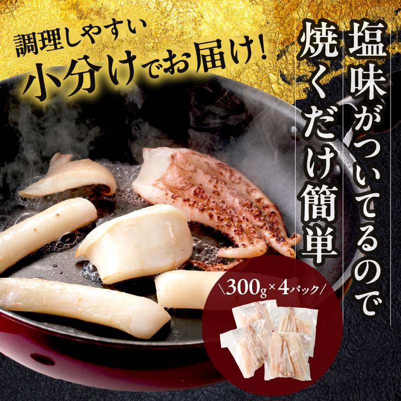 《14営業日以内に発送》北海道産カットいか一夜干し ソフトタイプ ( イカ 烏賊 干物 柔らかい 炙り フライ 揚げ物 煮付 北海道 一夜干し いか )【035-0003】