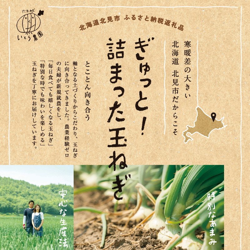 【予約：2024年10月中旬から順次発送】いとう農園の玉ねぎ 10kg ( 玉葱 タマネギ 野菜 期間限定 数量限定 10キロ )【181-0001】