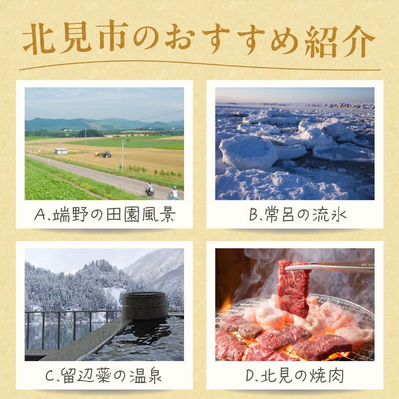 【北見市内限定】別荘取得支援チケット 9000万円分 ( 別荘 工事 観光 避暑地 )【196-0005】