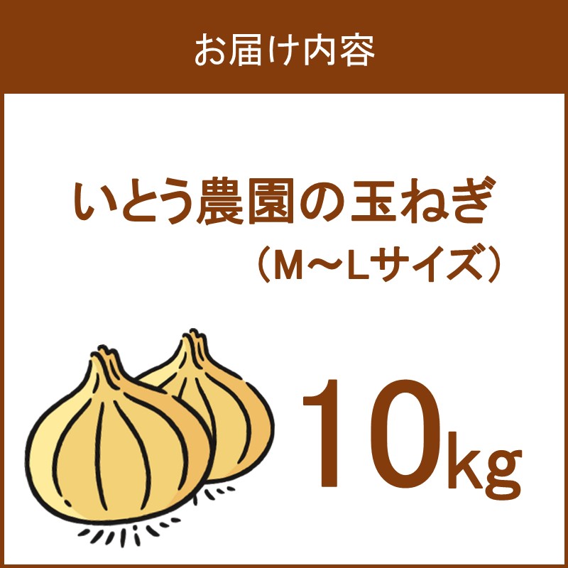 【予約：2024年10月中旬から順次発送】いとう農園の玉ねぎ 10kg ( 玉葱 タマネギ 野菜 期間限定 数量限定 10キロ )【181-0001】