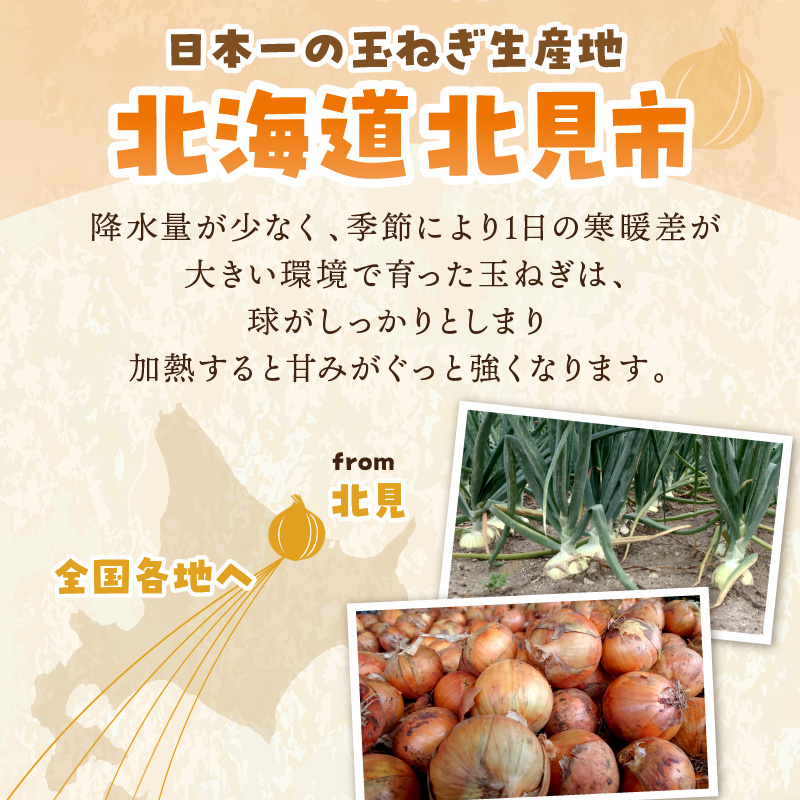 【予約：2024年9月から順次発送】日本一の生産地！北海道北見市の玉ねぎ 10kg！オニオンスープ2本付き♪ ( 玉ねぎ 玉葱 たまねぎ タマネギ オニオン スープ 即席 料理 )【164-0007-2024】