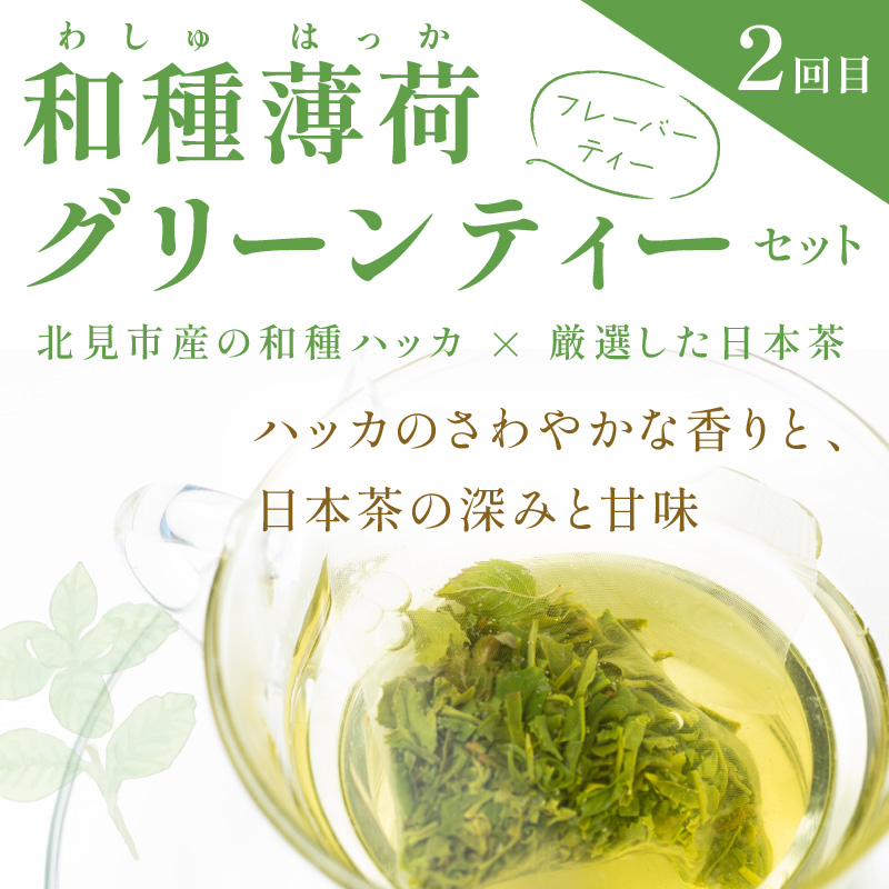 【3ヶ月定期便】「ホッ」とティータイム ( ごぼう茶 グリーンティー ハーブティー ごぼう ゴボウ お茶 和種薄荷 ハッカ 薄荷 ブレンドハーブ )【999-0046】