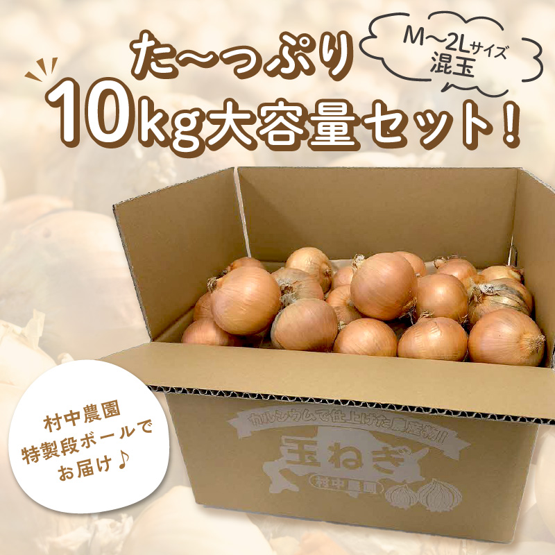 【予約：2024年9月中旬から順次発送】農家直送 村中さんちの玉ねぎ 10kg混玉 M～2Lサイズ ( タマネギ たまねぎ 玉葱 野菜 北海道産 詰合せ 10kg ふるさと納税 )【095-0021】