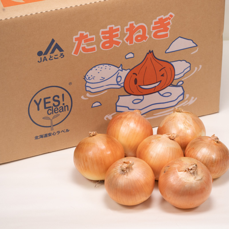 北海道安心ラベル「Yes!clean」認証！北見市常呂の玉ねぎ 20kg ( たまねぎ 野菜 期間限定 )【009-0001-2024】