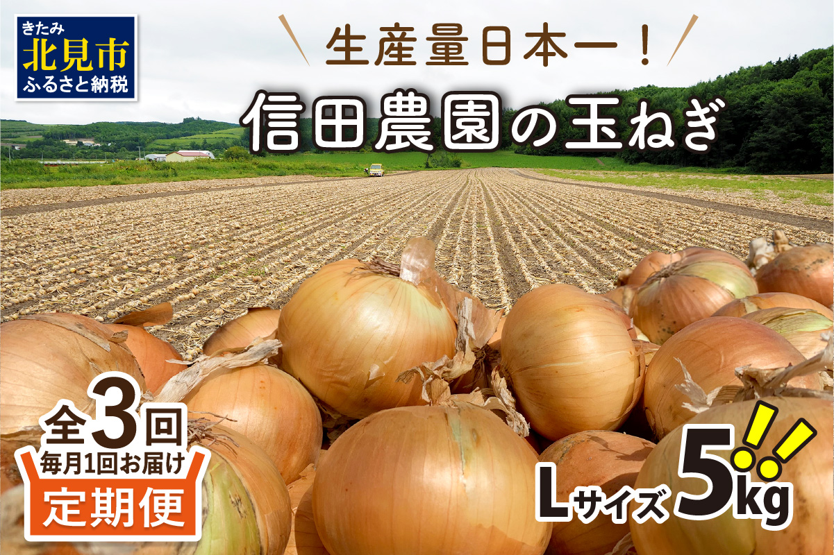 【A2-036】生産量日本一！信田農園の玉ねぎ5kg【3ヶ月定期便】【2022年9月から順次発送】