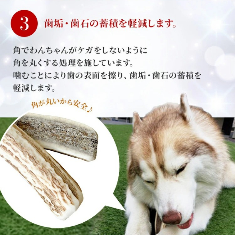 鹿の角 犬のおもちゃ ペット用 Sサイズ ( ペット おもちゃ 鹿 角 )【079-0002】