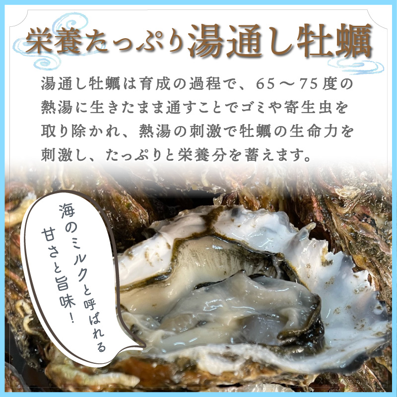 【A-421】サロマ湖湯通し2年 活貝牡蠣 2.5キロ（25～30個）